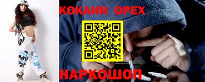 jwh Будённовск